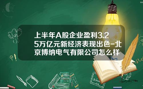 上半年A股企業盈利3.25萬億元新經濟表現出色-北京博納電氣有限公司怎麽樣