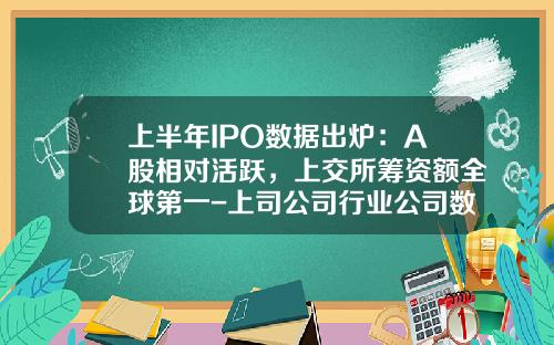 上半年IPO數據出爐：A股相對活躍，上交所籌資額全球第一-上司公司行業公司數量