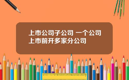 上市公司子公司 一個公司上市前開多家分公司