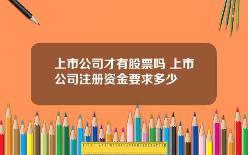 上市公司才有股票嗎 上市公司注冊資金要求多少