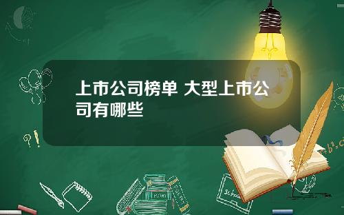 上市公司榜單 大型上市公司有哪些