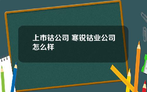 上市钴公司 寒锐钴业公司怎么样