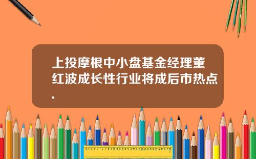 上投摩根中小磐基金經理董紅波成長性行業將成後市熱點.