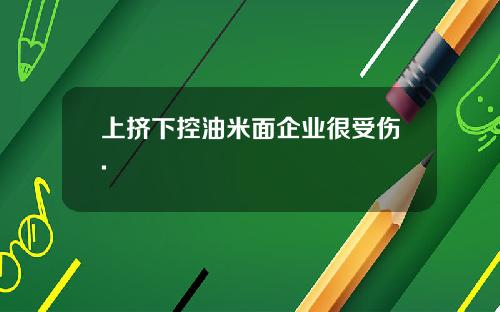 上挤下控油米面企业很受伤.