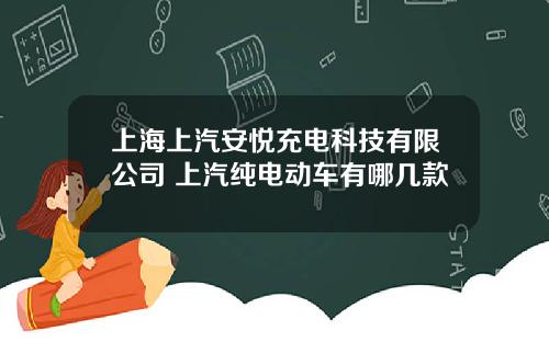 上海上汽安悦充电科技有限公司 上汽纯电动车有哪几款