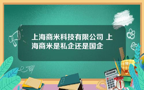 上海商米科技有限公司 上海商米是私企还是国企