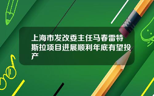上海市发改委主任马春雷特斯拉项目进展顺利年底有望投产