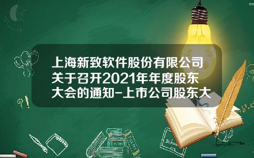 上海新致軟件股份有限公司關於召開2021年年度股東大會的通知-上市公司股東大會通知
