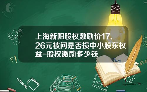 上海新阳股权激励价17.26元被问是否损中小股东权益-股权激励多少钱