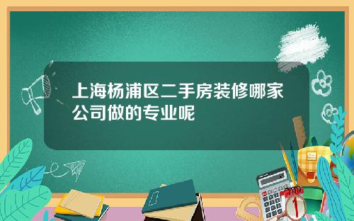 上海楊浦區二手房裝脩哪家公司做的專業呢
