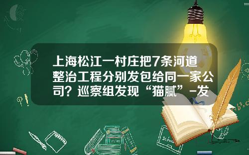 上海松江一村莊把7條河道整治工程分別發包給同一家公司？巡察組發現“貓膩”-發包給子公司