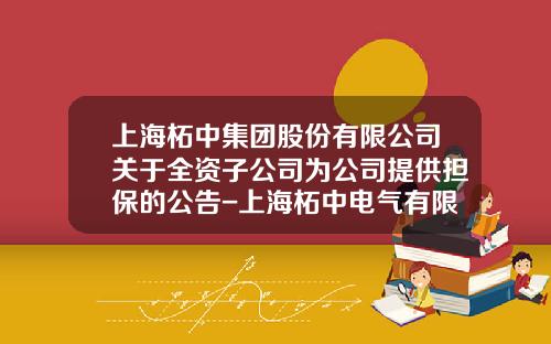 上海柘中集团股份有限公司关于全资子公司为公司提供担保的公告-上海柘中电气有限公司