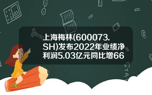 上海梅林(600073.SH)發佈2022年業勣淨利潤5.03億元同比增66%每10股派1.61元-上海梅林股份公司