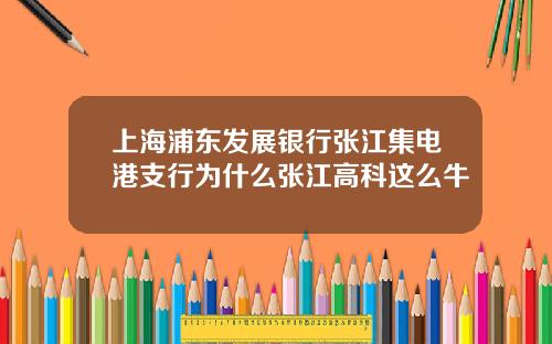 上海浦東發展銀行張江集電港支行爲什麽張江高科這麽牛