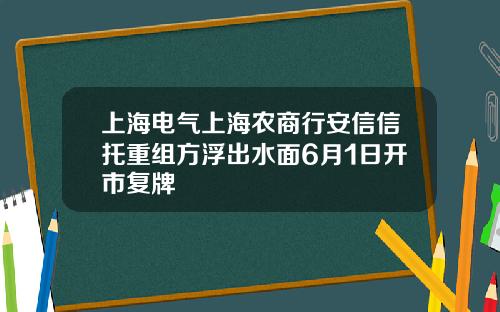 上海电气上海农商行安信信托重组方浮出水面6月1日开市复牌
