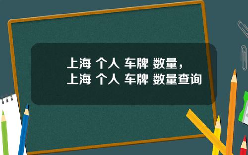 上海 個人 車牌 數量，上海 個人 車牌 數量查詢