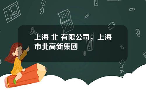 上海 北 有限公司，上海市北高新集團