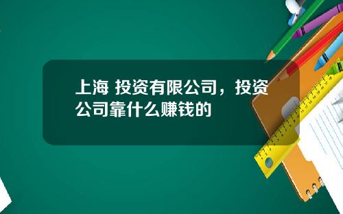 上海 投資有限公司，投資公司靠什麽賺錢的