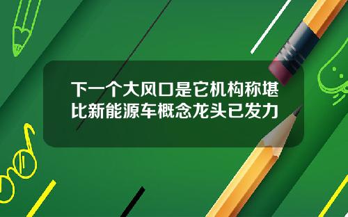 下一個大風口是它機搆稱堪比新能源車概唸龍頭已發力
