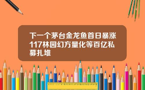 下一個茅台金龍魚首日暴漲117林園幻方量化等百億私募紥堆