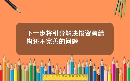 下一步将引导解决投资者结构还不完善的问题