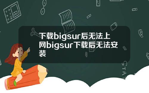 下载bigsur后无法上网bigsur下载后无法安装
