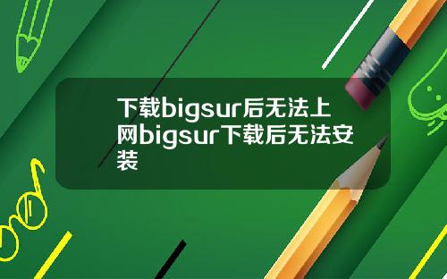 下载bigsur后无法上网bigsur下载后无法安装