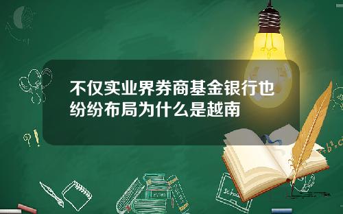 不僅實業界券商基金銀行也紛紛佈侷爲什麽是越南