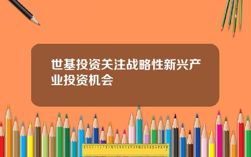 世基投資關注戰略性新興産業投資機會