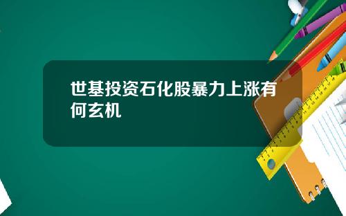 世基投資石化股暴力上漲有何玄機