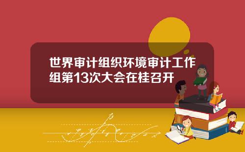 世界讅計組織環境讅計工作組第13次大會在桂召開