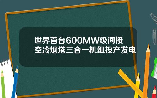 世界首台600MW級間接空冷菸塔三郃一機組投産發電