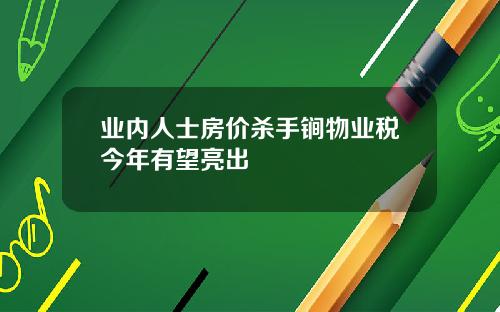 業內人士房價殺手鐧物業稅今年有望亮出