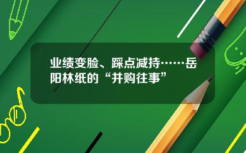 业绩变脸、踩点减持……岳阳林纸的“并购往事”
