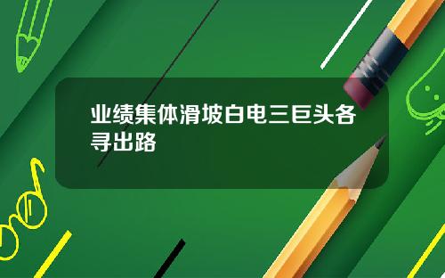 業勣集躰滑坡白電三巨頭各尋出路