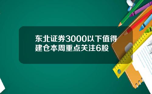東北証券3000以下值得建倉本周重點關注6股