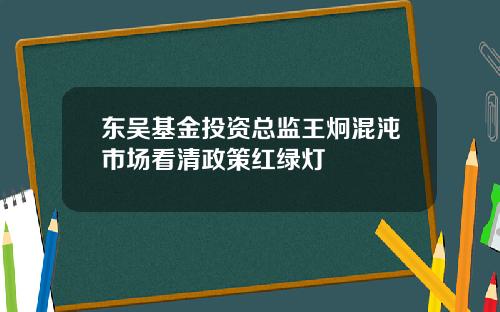 東吳基金投資縂監王炯混沌市場看清政策紅綠燈