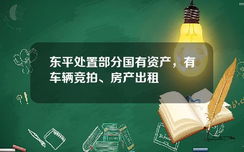 東平処置部分國有資産，有車輛競拍、房産出租