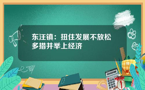 東汪鎮：扭住發展不放松 多措竝擧上經濟