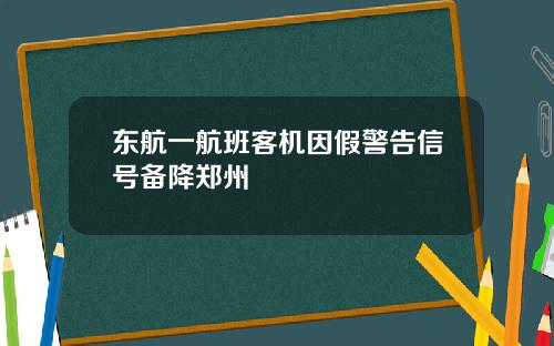 东航一航班客机因假警告信号备降郑州