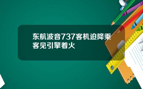 东航波音737客机迫降乘客见引擎着火