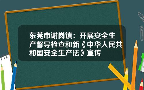 東莞市謝崗鎮：開展安全生産督導檢查和新《中華人民共和國安全生産法》宣傳