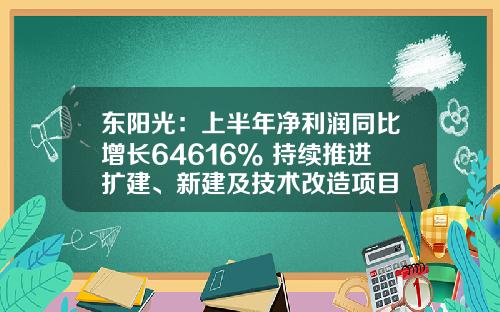 东阳光：上半年净利润同比增长64616% 持续推进扩建、新建及技术改造项目