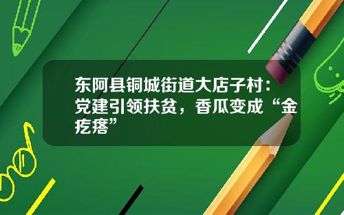 东阿县铜城街道大店子村：党建引领扶贫，香瓜变成“金疙瘩”