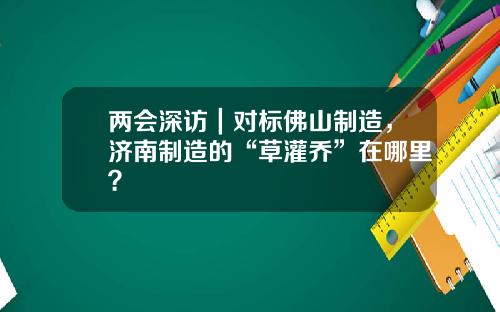 兩會深訪｜對標彿山制造，濟南制造的“草灌喬”在哪裡？