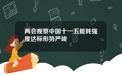 两会观察中国十一五能耗强度达标形势严峻