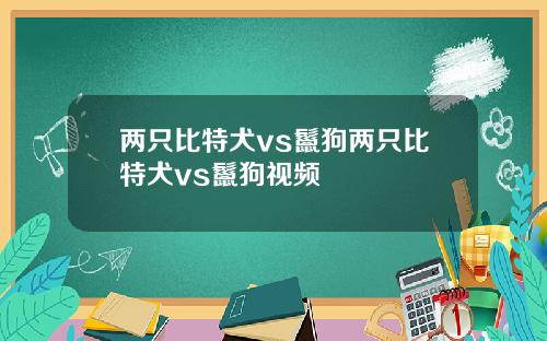 两只比特犬vs鬣狗两只比特犬vs鬣狗视频