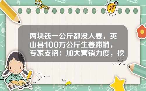 两块钱一公斤都没人要，英山县100万公斤生姜滞销，专家支招：加大营销力度，挖洞贮存