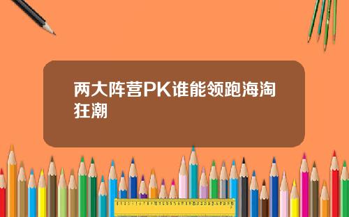 兩大陣營PK誰能領跑海淘狂潮