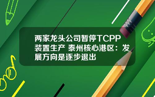 两家龙头公司暂停TCPP装置生产 泰州核心港区：发展方向是逐步退出